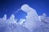 山形蔵王の樹氷 2004年